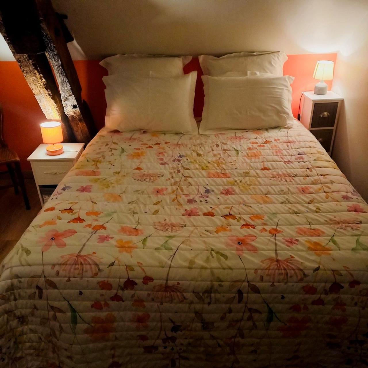 Jolie Maison de Campagne en pierre de tuffeau Longué Extérieur photo